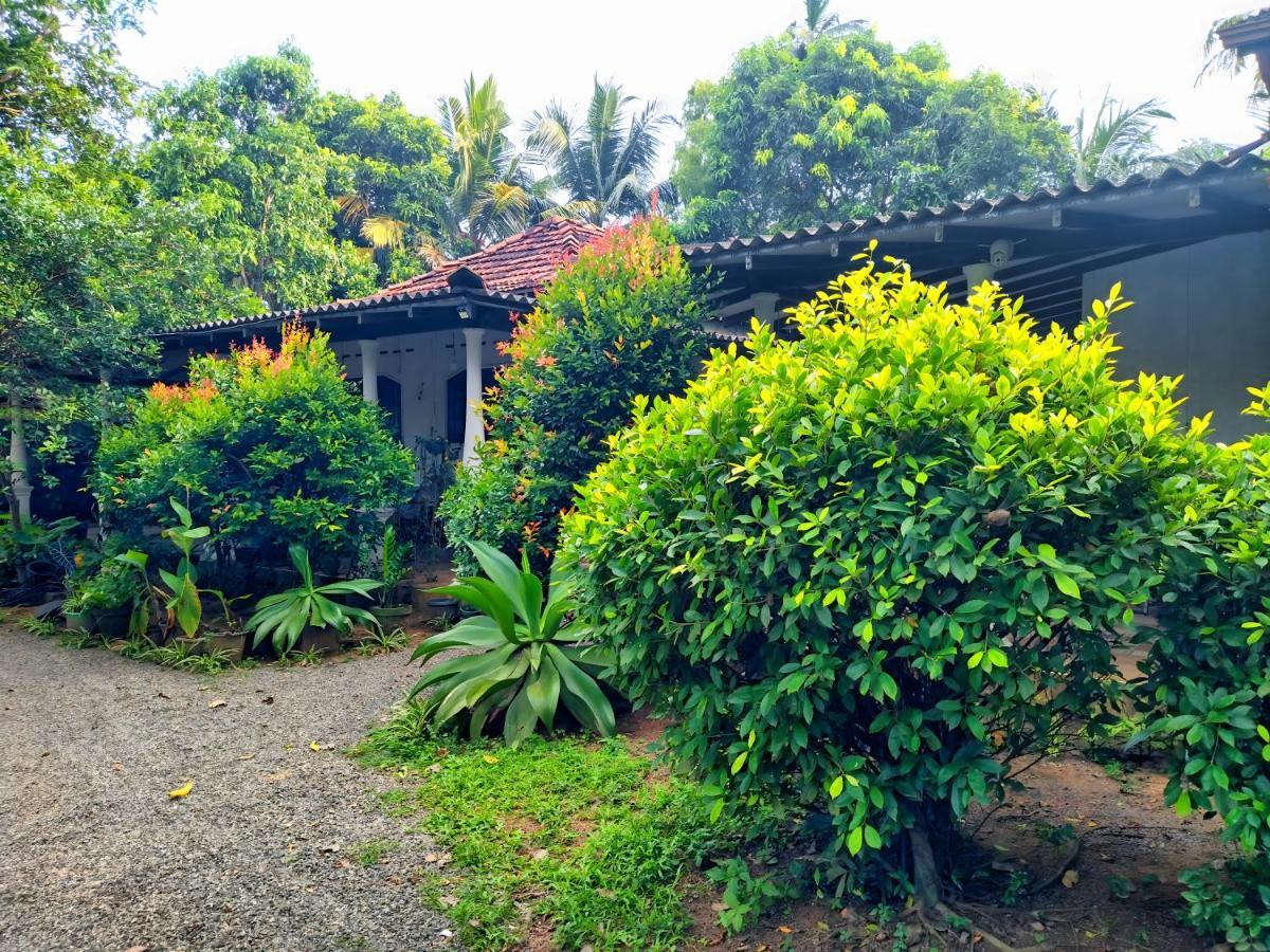 Dickwella Green Villa 外观 照片